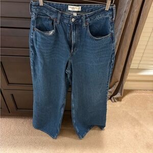 Abercrombie & Fitch curve love high rise wide leg jean
